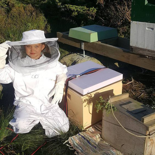 Andel_bikube_fremhevet_bilde