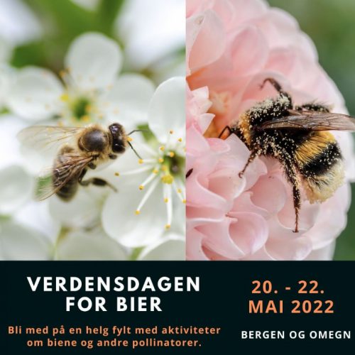 VerdensdagForBier_forside